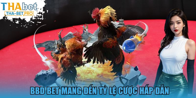 BBD Bet mang đến tỷ lệ cược hấp dẫn