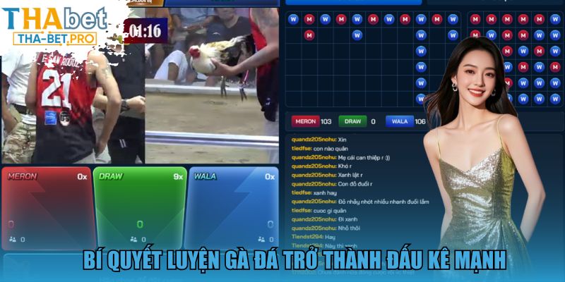 Bí quyết luyện gà đá trở thành đấu kê mạnh